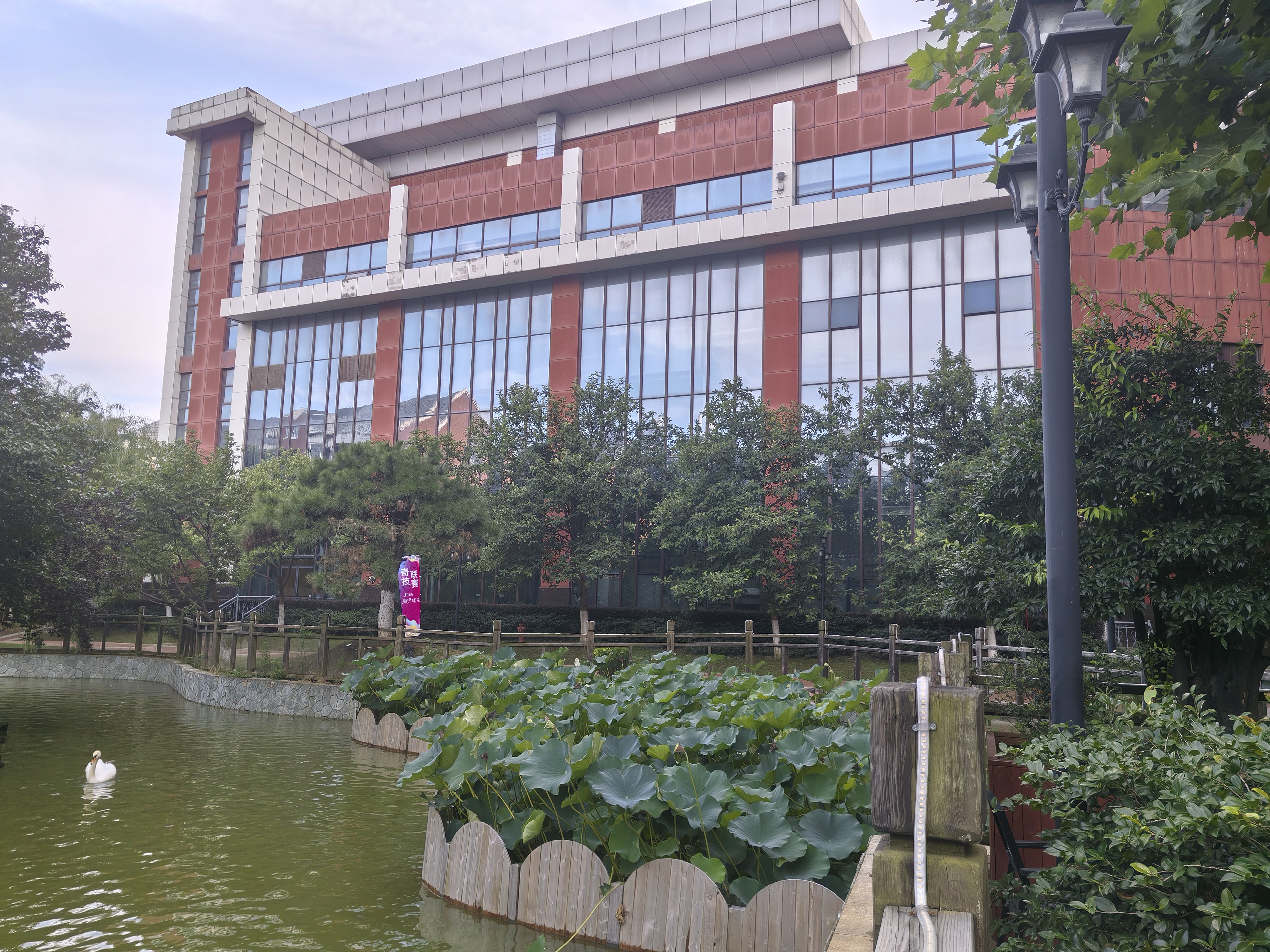 宝妈离开职场多年没信心，看睿栋如何助力宝妈学历提升？